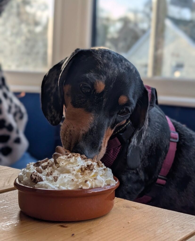 Dog friendly Cambridgeshire pub